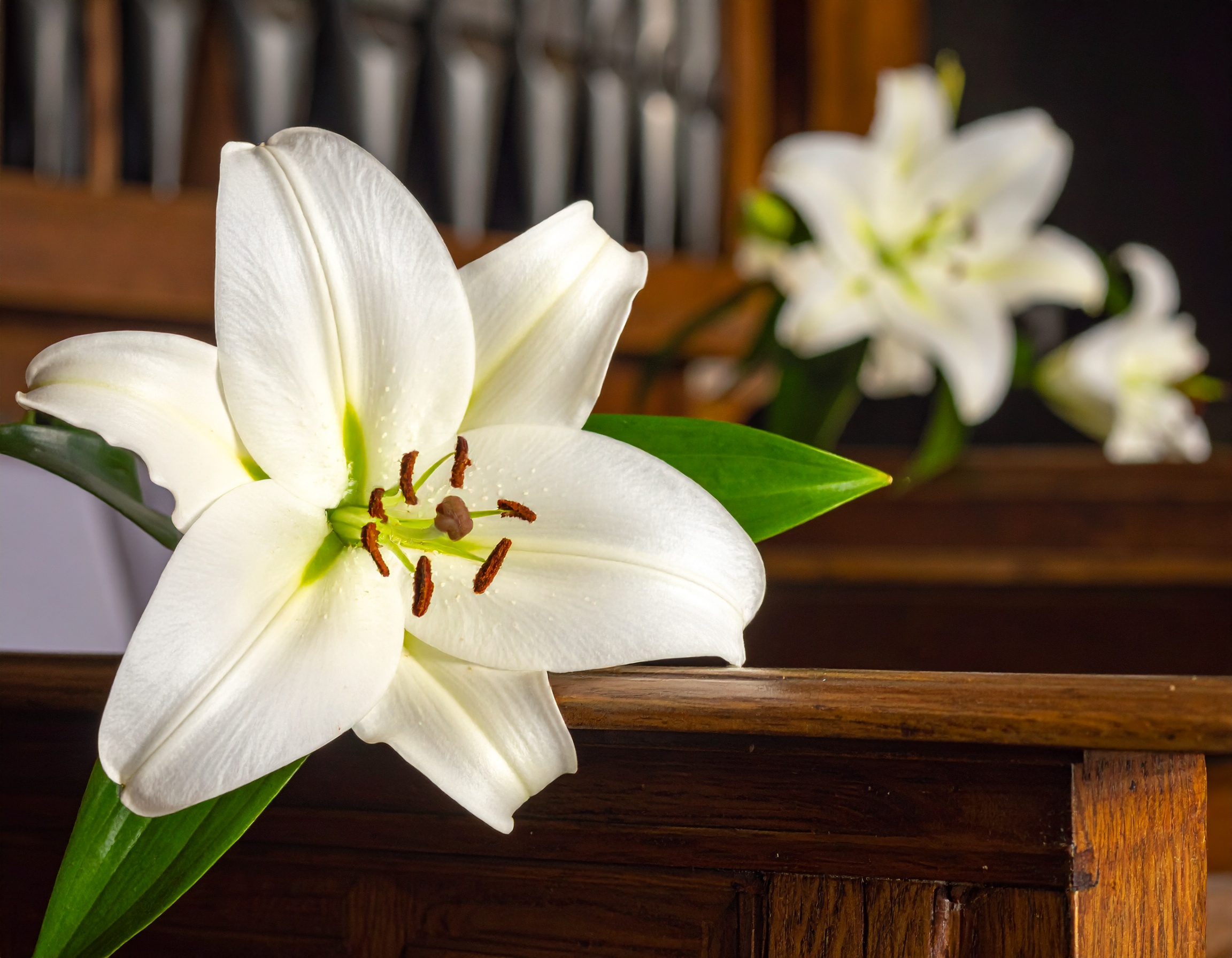 PowerPointで葬儀スライドショーを自作！シンプル上品な作り方